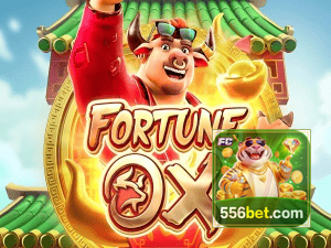 556BET login — painel de entrada no app oficial